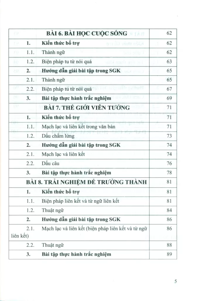 CẨM NANG THỰC HÀNH TIẾNG VIỆT NGỮ VĂN LỚP 7 (Bộ Kết nối tri thức với cuộc sống)