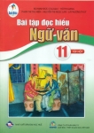 BÀI TẬP ĐỌC HIỂU NGỮ VĂN LỚP 11 - TẬP 1 (Cánh Diều)