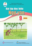 BÀI TẬP ĐỌC HIỂU NGỮ VĂN LỚP 9 - TẬP 2 (Bộ sách Cánh Diều)