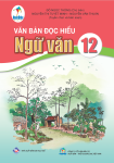 VĂN BẢN ĐỌC HIỂU NGỮ VĂN LỚP 12 (Bộ sách Cánh Diều)