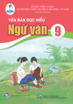 VĂN BẢN ĐỌC HIỂU NGỮ VĂN LỚP 9 (Bộ sách Cánh Diều)