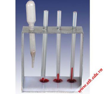 Bộ thí nghiệm hiện tượng mao dẫn